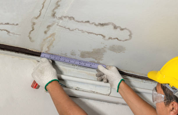 Reliable Burst Pipe Cleanup contractor in Belgium, WI by Water Damage Irwin